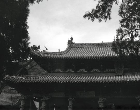 Kentmere PAN 400 (6x7)

##English
Black-and-white photograph of a traditional Chinese building with a tiled, upturned eave roof. The roof features intricate carvings and ornamental details at the edges and ridge. Tall trees frame the structure on both sides, partially obscuring parts of the building. The sky above is overcast.
##中文
黑白照片，拍摄的是一座传统中式建筑，屋顶为瓦片结构，屋檐向上翘起。屋顶边缘和屋脊装饰有精美的雕刻和装饰性细节。建筑两侧被高大的树木所环绕，部分建筑被树木遮挡。上方天空为阴天。
