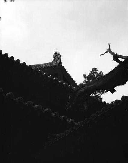 Kentmere PAN 400 (6x7)

English
A black-and-white photograph of a traditional Chinese temple roof. The roof features intricate, upward-curving eaves with small figurines lining the ridges. A decorative dragon sculpture is positioned at the peak. The sky is bright and clear, providing a stark contrast to the dark silhouette of the roof.
中文
一张黑白照片，拍摄的是中国传统寺庙的屋顶。屋顶有精美的、向上弯曲的屋檐，屋脊上排列着小雕像。屋顶的最高处有一尊装饰性的龙雕。天空明亮清晰，与屋顶的黑色剪影形成鲜明对比。