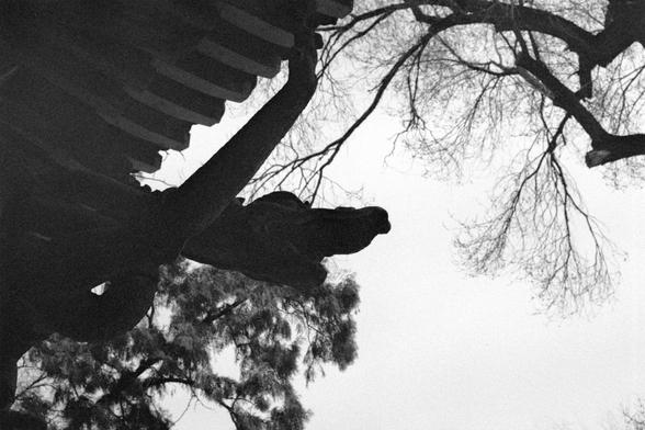 Kentmere PAN 400 (FF)

English
A black-and-white photograph capturing the silhouette of a traditional Chinese pagoda roof against a bright sky. Bare tree branches frame the scene, creating a stark contrast between the dark structure and the light background.
中文
一张黑白照片，捕捉了一个传统中国宝塔屋顶的剪影，背景是明亮的天空。光秃的树枝构成了画面的框架，使黑暗的建筑与明亮的背景形成鲜明对比。