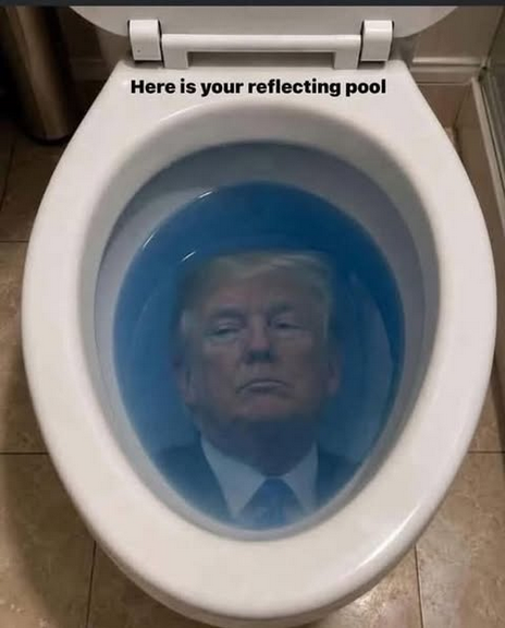 Meme that says "Here is your reflecting pool" and it shows Donald Trump's reflection in a toilet bowl filled with blue water.