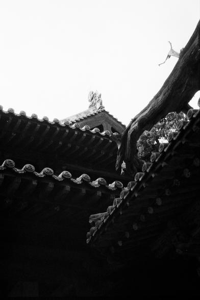 Kentmere PAN 400 (FF)

English
Black-and-white photograph of a traditional Chinese building roof with a steep, curved design. The roof is adorned with ornamental tiles and a small statue of a mythical creature at the peak. A large, bare tree trunk is visible on the right side, contrasting with the smooth lines of the roof.
中文
黑白照片，拍摄的是一座中国传统建筑的陡峭弯曲屋顶。屋顶装饰有装饰性瓦片，屋脊处有一尊小型神话生物的雕像。右侧可见一根粗大的光秃树干，与屋顶的流畅线条形成对比。