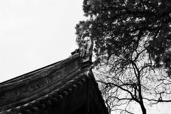 Kentmere PAN 400 (FF)

English
Black-and-white photograph of a traditional Chinese building roof with a small, ornate statue of a mythical creature at the peak. The roof features layered tiles and decorative elements. A tall, leafless tree with bare branches is visible on the right, set against a bright sky.
中文
黑白照片，拍摄的是一座中国传统建筑的屋顶，屋脊处有一尊小型精美的神话生物雕像。屋顶采用层叠式瓦片和装饰性元素。右侧可见一棵高大的无叶树木，光秃的树枝映衬在明亮的天空下。