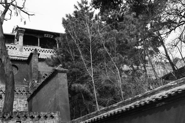 Kentmere PAN 400 (FF)

English
Black-and-white photograph of a traditional Chinese building with a tiled roof and ornamental details. The structure includes brick walls and arched windows. Tall, slender trees and bare branches fill the background, creating a contrast between the man-made architecture and the natural elements.
中文
黑白照片，拍摄的是一座中国传统建筑，屋顶铺有瓦片并装饰有细节。建筑物包含砖墙和拱形窗户。背景中是高大纤细的树木和光秃的树枝，形成人工建筑与自然元素的对比。