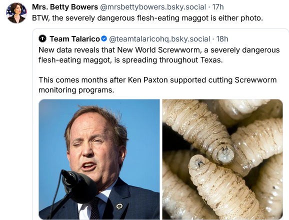 Team Talarico on Bsky says "New data reveals that New World Screwworm, a severely dangerous flesh-eating maggot, is spreading through Texas. This comes months after Ken Paxton supported cutting Screwworm monitoring programs." On the left is Ken Paxton, looking intoxicated, which he has been during legislative sessions. On the right is a picture of screwworm.

Mrs Betty Bowers says "BTW, the severely dangerous flesh eating maggot is either photo."