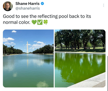 Repost of Shane Harris saying "Good to see the reflecting pool back to its normal color."
He posts two pictures, one showing the whole pool with the Washington Monument at the end. It's pretty murky and green, though under a bright blue sky it looks, well, blue-green. Then there's a close up where the color is bright green with algae.

The regime excused the algae for the first few days as "residual" from the pipes. That was always a dodgy excuse and now it's just preposterous. They wasted $14 million taxpayer dollars on this.
