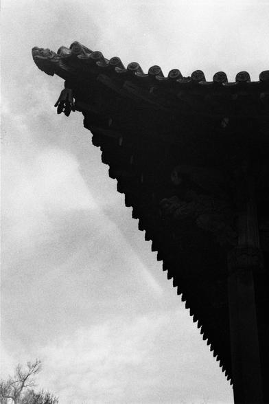 Kentmere PAN 400 (FF)

Image 4
English
Black-and-white photograph of a traditional Chinese temple roof with a dragon-like creature sculpture at the end of the upturned eave. The creature has a detailed, expressive face and a curved body, adding a dynamic element to the roof's design. The roof tiles are layered and the background is a clear sky.
中文
黑白照片，拍摄的是传统中式寺庙的屋顶，上翘的屋檐末端有一尊龙形生物雕塑。该生物面部表情生动，身体弯曲，为屋顶设计增添了动感元素。屋顶瓦片层叠排列，背景是明净的天空。