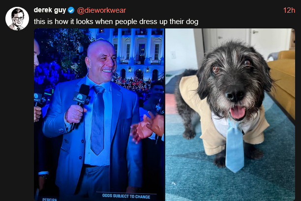Derek Guy @dieworkwear on xcancel says "This is how it looks when people dress up their dog"
On the left, a picture of Joe Rogan, abald white man, the announcer at Trump's UFC event, wearing a light blue suit with a comically short, wide light blue tie. I am no fashion critic myself, but yeesh.

On the right, a picture of a small black terrier with a greying face who looks adorable in a tiny white shirt and tan jacket with a little blue tie around his neck. It's cute on the dog.