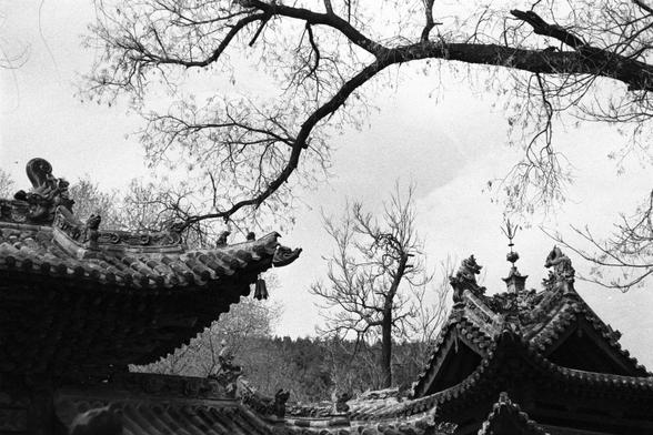 Ilford Pan 400 (FF)

English
Black-and-white photograph capturing the rooflines of traditional Chinese buildings. The roofs are adorned with intricate, ornamental details, including mythical creature statues at the ends of the ridges. Bare tree branches frame the top of the image, creating a contrast between the architectural details and the natural elements. The background shows a faint outline of trees and a hilly landscape.
中文
黑白照片，展示了传统中国建筑的屋顶。屋顶装饰着精美的装饰性细节，包括屋脊末端的神兽雕像。光秃秃的树枝构成了画面的上部框架，形成建筑…