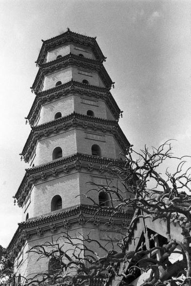Ilford Pan 400 (FF)

English
A black-and-white photograph of a tall, multi-tiered traditional Chinese pagoda. The pagoda features multiple square levels, each with arched windows and intricate eaves. The structure is made of brick and stone, with detailed carvings visible on the edges of the roof. Bare tree branches partially obscure the lower section of the pagoda. The sky in the background is clear.
中文
一张黑白照片，拍摄的是一座高大的多层中国传统宝塔。宝塔由多个正方形层级组成，每层都有拱形窗户和精美的屋檐。建筑由砖石砌成，屋顶边缘有精细的雕刻。光秃的树枝部分遮挡了宝塔的下部。背景是…