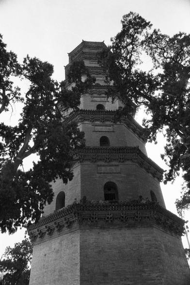 Ilford Pan 400 (FF)

English
A black-and-white photograph of a multi-story traditional Chinese pagoda, viewed from a low angle. The pagoda has several tiers with arched windows and ornate eaves. Tall trees with dense foliage frame the pagoda on both sides, partially obscuring parts of the structure. The sky is visible in the background.
中文
一张黑白照片，从低角度拍摄的一座多层中国传统宝塔。宝塔有多个层级，每层都有拱形窗户和装饰性屋檐。高大的树木和茂密的树叶在宝塔两侧形成框架，部分遮挡了建筑。背景是可见的天空。