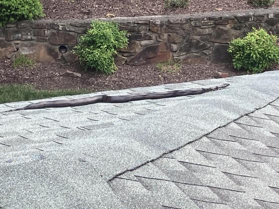 A four foot black snake, a central rat snake’s head, is resting on the shingles of our addition. It was paused and tracking prey, mobilizing not long after. 