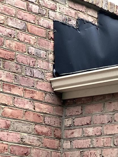Close-up of a brick wall with a section of black flashing loosely attached at the top. A central rat snake’s head is protruding from the gutter, preparing to slide on in behind the flashing.