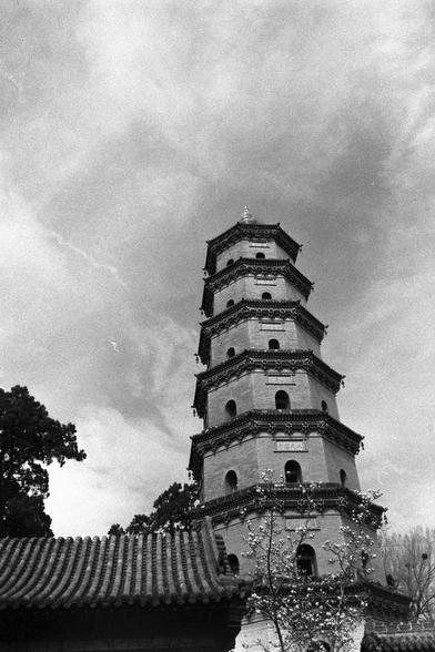 Ilford Pan 400 (FF)

English
A black-and-white photograph of a multi-story traditional Chinese pagoda, similar to the first image. The pagoda is surrounded by trees, with a tiled roof visible in the lower left corner. The sky is overcast, with a mix of clouds.
中文
一张黑白照片，拍摄的是一座多层的中国传统宝塔，与第一张图片类似。宝塔被树木环绕，左下角可见瓦屋顶。天空多云，云层较厚。