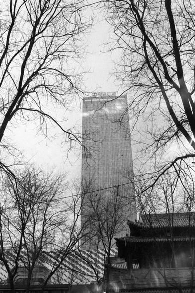Ilford Pan 400 (FF)

English
Black-and-white photograph capturing a tall, modern skyscraper viewed through a network of bare tree branches. The building features a grid-like facade with visible windows. The sky is bright, creating a stark contrast with the dark branches and the building. In the lower right, part of a traditional tiled roof structure is visible, adding a juxtaposition of old and new architecture.
中文
黑白照片，通过光秃秃的树枝网络拍摄了一座高大的现代摩天大楼。大楼外立面呈网格状，窗户清晰可见。天空明亮，与深色的树枝和大楼形成鲜明对比。右下角可见一部分传统瓦顶…