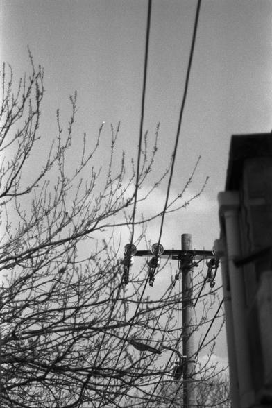 Ilford FP4 Plus 125 (FF)

English
A black-and-white photograph capturing a bare tree with thin, intertwining branches against a clear sky. In the background, there is a wooden utility pole with multiple insulators and power lines stretching vertically and horizontally. Part of a building is visible on the right side of the image.
中文
一张黑白照片，捕捉到一棵光秃秃的树，细细的枝条交错纵横，映衬在晴朗的天空下。背景中有一根木制电线杆，上面有多个绝缘子，电线纵横交错。图片右侧可见一部分建筑物。
