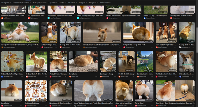 A search result screen with so many pictures of corgi butts...
