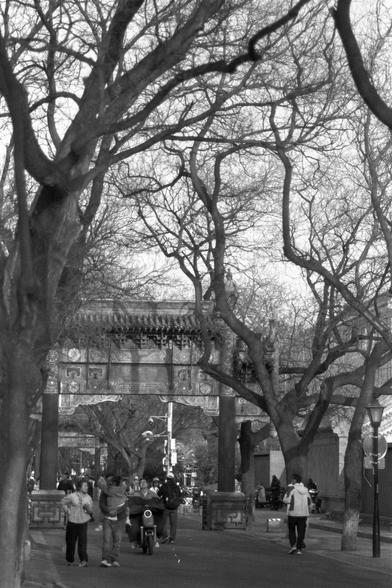 Ilford FP4 Plus 125 (FF)

English
A black-and-white photograph capturing a traditional Chinese archway in a park or public space. The archway is ornately decorated with intricate patterns and Chinese characters. Bare trees frame the archway, their branches creating a web-like pattern against the sky. People are walking and standing around the area, some near a lamppost. The scene is lively, with a mix of nature and architecture.
中文
一张黑白照片，捕捉了公园或公共空间中的一个传统中国牌楼。牌楼装饰华丽，有精美的图案和汉字。光秃秃的树木环绕着牌楼，枝干在天空中…
