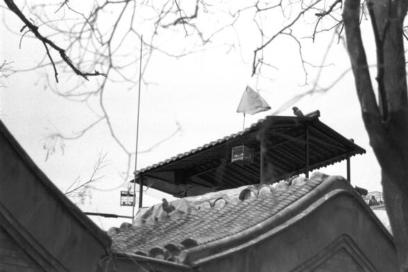 Ilford FP4 Plus 125 (FF)

##English
Black-and-white photograph of a traditional Chinese building with a tiled roof. A triangular flag is mounted on a pole at the peak of the roof. Several pigeons are perched on the roof ridges and eaves. Bare tree branches frame the top of the image, adding a natural element to the architectural scene.
##中文
这张黑白照片展示了一个传统中式建筑的屋顶，屋顶覆盖着瓦片。屋顶的最高处有一面三角形旗帜悬挂在旗杆上。几只鸽子栖息在屋脊和屋檐上。光秃秃的树枝构成了照片的上框，为建筑场景增添了自然元素。