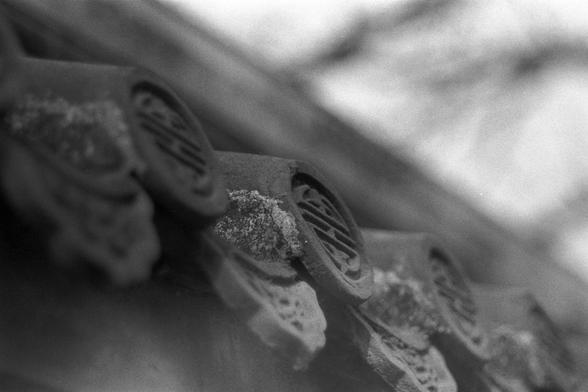 Ilford FP4 Plus 125 (FF)

English
A close-up, black-and-white photograph of a textured, weathered surface, possibly stone or metal. The image features intricate carvings or engravings, including circular and linear patterns, with some areas appearing eroded or worn. The lighting creates strong shadows, emphasizing the depth and contours of the carvings.
中文
一张黑白近景照片，拍摄的是一个质地粗糙、经风化的表面，可能是石头或金属。图像中有复杂的雕刻或刻蚀图案，包括圆形和线性图案，部分区域看起来被侵蚀或磨损。光线制造出强烈的阴影，突出了雕刻的深度和轮廓。