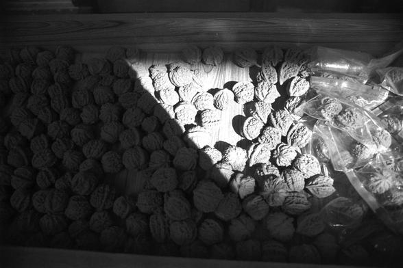 Ilford FP4 Plus 125 (FF)

English
A black-and-white photograph showing a large pile of walnuts in their shells. The walnuts are scattered across a flat surface, with some spilling out of a transparent plastic bag on the right side. The lighting creates strong shadows, emphasizing the texture of the walnut shells.
中文
一张黑白照片，展示了大量带壳的胡桃。胡桃散落在一个平坦的表面上，右侧有一些胡桃从透明的塑料袋中溢出。光线投射出明显的阴影，突出了胡桃壳的纹理。
