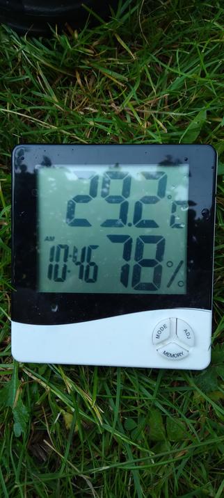 29.2°C
78% humidity
10:46 a.m.