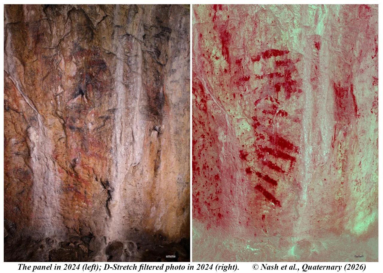17,000-year-old cave paintings in Wales confirmed as the oldest rock art in the British Isles