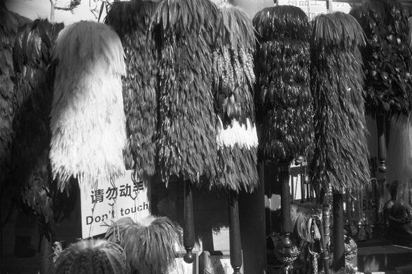 Ilford FP4 Plus 125 (FF)

##English
Black-and-white photograph of a row of long, shaggy furry dusters hanging closely together on a rack. The disters are of varying lengths and textures, with some appearing darker and others lighter. A sign in the foreground reads "请勿动手" and "Don't touch" in both Chinese and English.
##中文
黑白照片，展示一排鸡毛掸子紧密悬挂在架子上。掸子长度和质地各异，有些颜色较深，有些较浅。前景有一个标志，用中英文写着“请勿动手”和“Don't touch”。