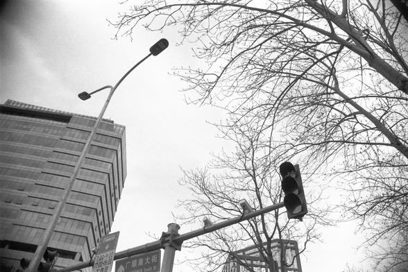 Ilford FP4 Plus 125 (FF)

##English
Black-and-white photograph of a city street scene. A tall street lamp with a curved design is prominently visible on the left, extending upwards. Bare tree branches fill the upper part of the image. In the background, a multi-story building with rectangular windows is partially visible. A traffic light and street signs, including one with Chinese characters are also present.
##中文
黑白照片，展示城市街道场景。左侧有一盏高大的弯曲设计的路灯向上延伸。上方是光秃秃的树枝。背景中有一栋多层建筑，窗户为矩形。还可以看到交通灯和街道标志，其中一个标…
