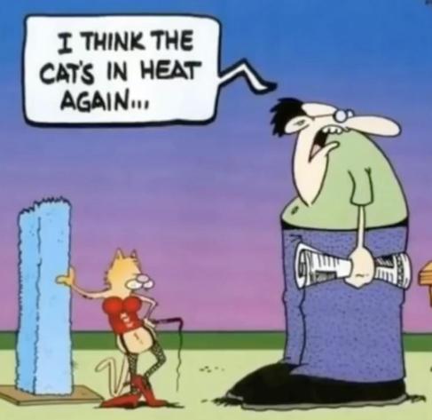 Single-panel cartoon. A cat leans seductively against a scratching post wearing a red bustier and black fishnet stockings, holding a whip. Standing next to the cat is a man talking to someone out of the picture, saying, “I think the cat’s in heat again.”