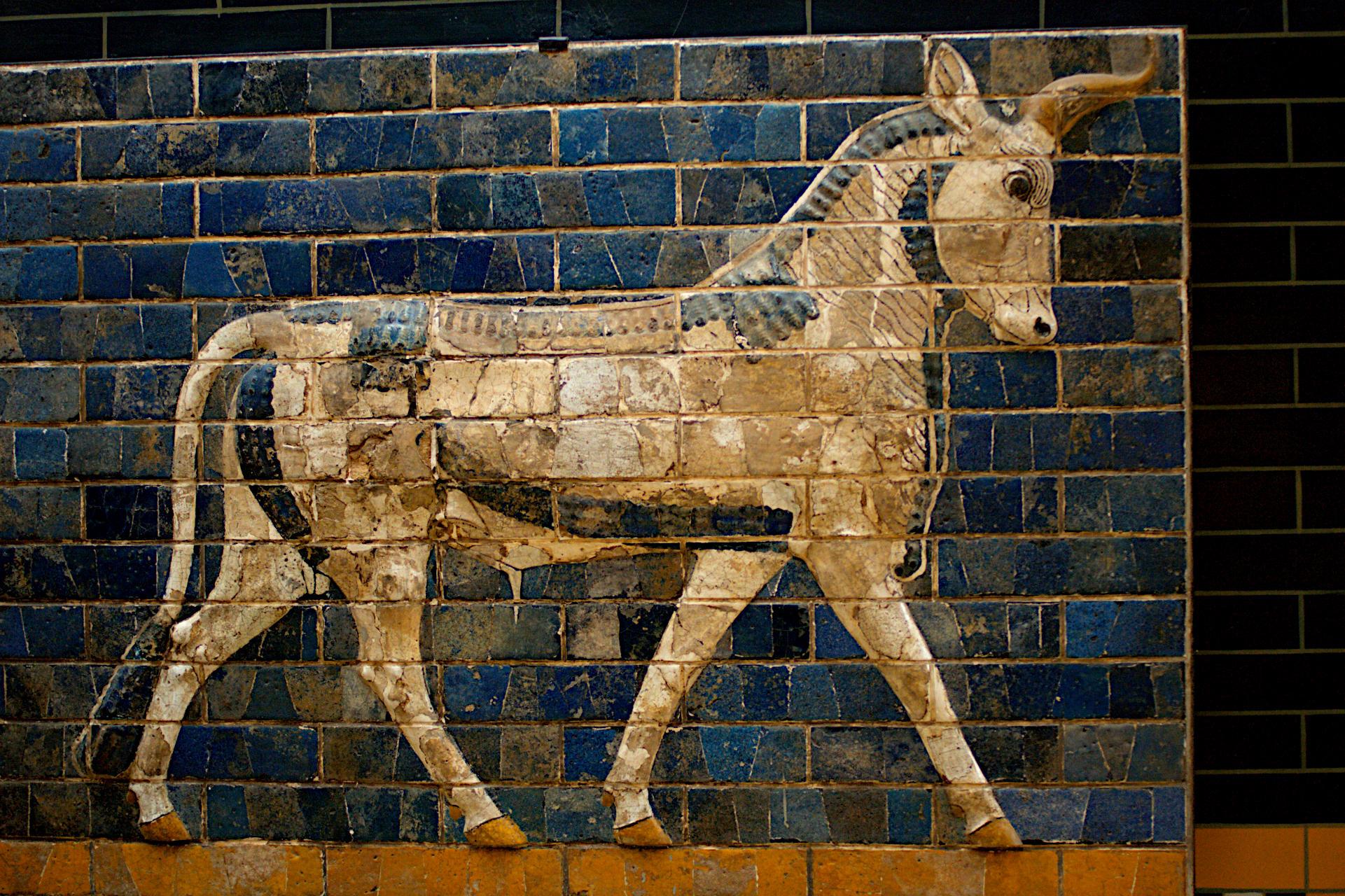 A glazed brick relief of an aurochs bull. Originally decorated the Ishtar Gate in Babylon during the reign of Nebuchadnezzar II, around 604–562 BC. Istanbul Archaeological Museums