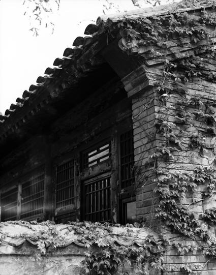 Ilford FP4 Plus 125 (6x7)

English
Black-and-white photograph of a traditional building with a tiled roof and wooden windows. The structure is partially covered in climbing vines, adding texture to the brick walls. The roof tiles are curved, and the windows have wooden frames with horizontal slats. The image captures the architectural details and the natural integration of the vines with the building.
中文
黑白照片，展示了一座传统建筑，屋顶铺有瓦片，窗户为木质。建筑物部分被爬山虎覆盖，为砖墙增加了质感。屋顶的瓦片呈弯曲状，窗户有木质框架和水平百叶窗。照片捕捉了建筑的细节以及爬山虎与建筑…