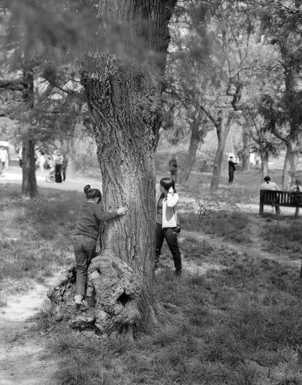 Ilford FP4 Plus 125 (6x7)

English
Black-and-white photograph of a park scene. Two individuals stand near a large, textured tree trunk with visible grooves and protruding roots at its base. One person, wearing a dark jacket and light pants, climbs the roots, while the other, in a light jacket and dark pants, stands beside the tree. The background features a grassy area, scattered trees, and a few distant people, including one seated on a bench. The scene is serene, with a dirt path visible to t…