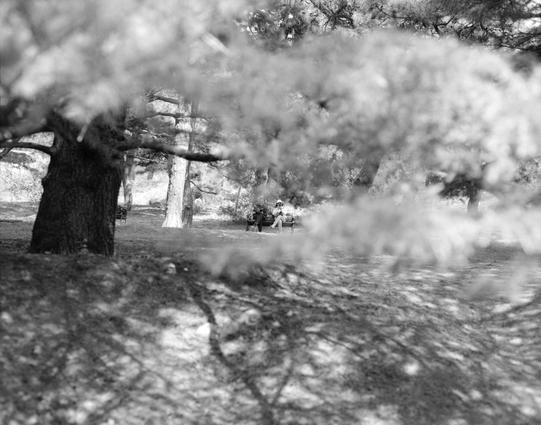 Ilford FP4 Plus 125 (6x7)

English
A black-and-white photograph of a forested area with a dense canopy. A large tree trunk is prominently visible in the foreground, while two people sit on a bench in the background, partially obscured by the foliage. The image is slightly blurred, creating a dreamy, ethereal effect, with sunlight filtering through the trees and casting soft shadows on the ground.
中文
一张黑白照片，展现了一个树木茂密的林区。前景是一棵粗大的树干，后景中两个人坐在长椅上，部分被树叶遮挡。照片略显模糊，营造出一种梦幻、缥缈的效果，阳光透过树木洒下，在地面上投射出柔和的阴影。