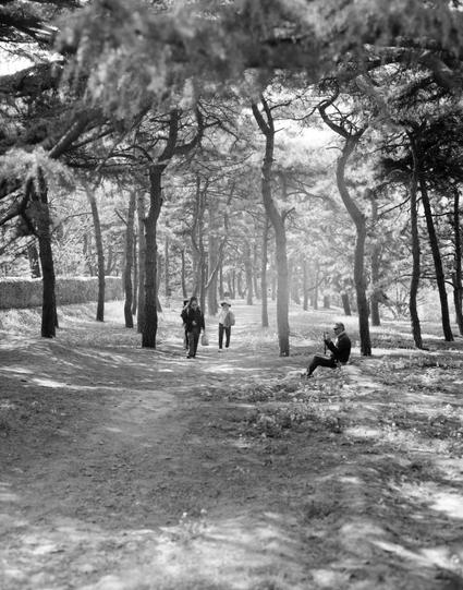 Ilford FP4 Plus 125 (6x7)

English
A black-and-white photograph of a forested path. Tall, slender trees with twisted trunks line a dirt trail. Three people are visible: two walking along the path in the background, and one seated on the ground to the right, holding an object, possibly a camera or binoculars. The scene is bathed in dappled sunlight filtering through the canopy, creating a serene, natural atmosphere.
中文
一张黑白照片，展现了一条林间小径。高大、细长的树木沿着土路排列，树干扭曲。照片中有三个人：两人在小径的远处行走，一人坐在地上，右侧，手中拿着一个物体，可能…