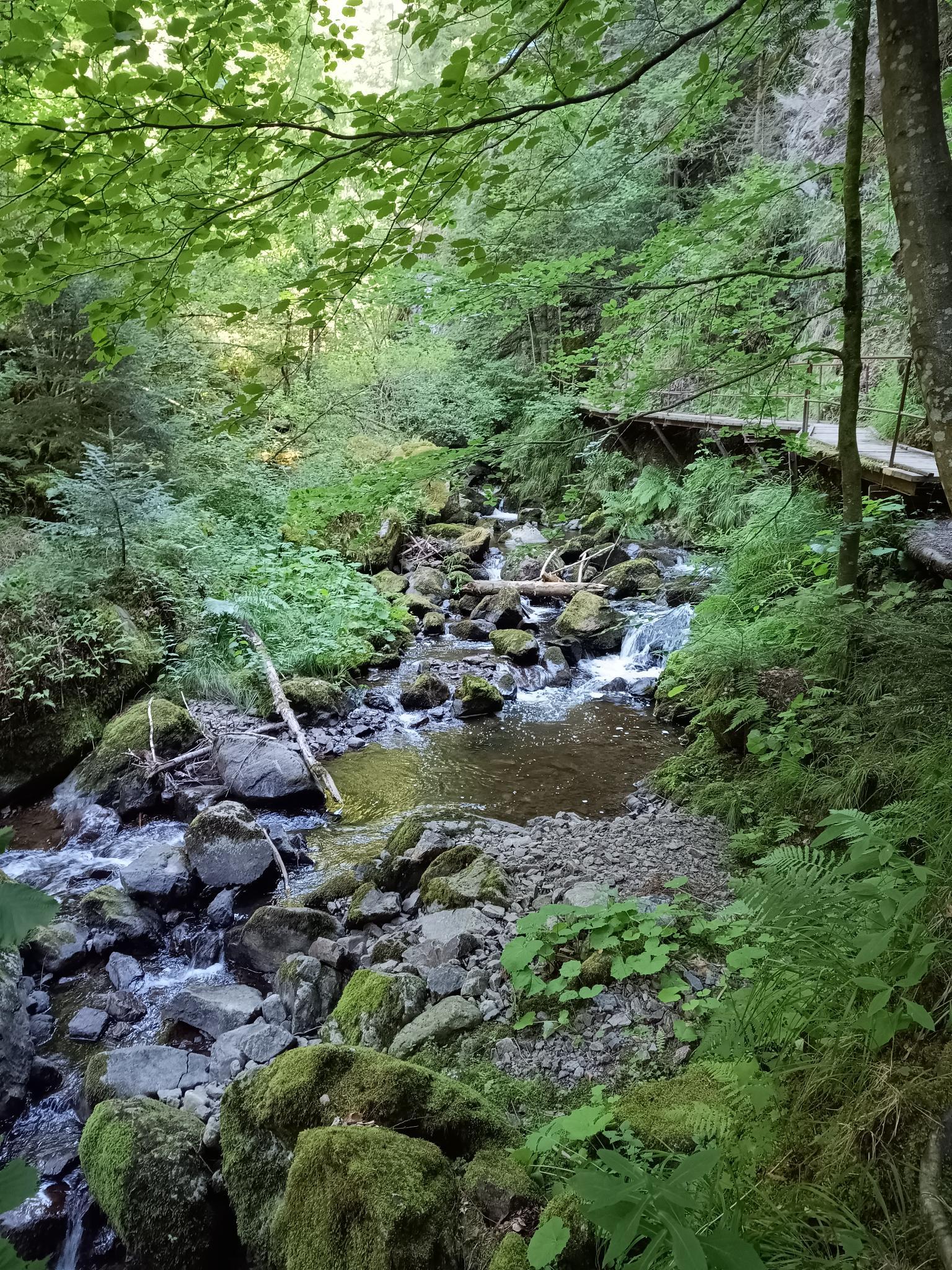 Path next to a river and waterfall. Everything is really green.