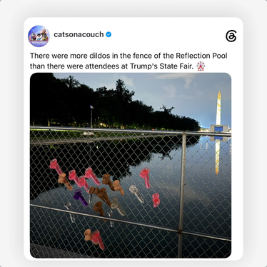 @CatsOnACouch says "There were more dildos in the fence of the Reflection Pool than there were attendees at Trump's State Fair." Picture shows the chain link fence the regime put around the algae-filled Reflecting Pool. Protesters have stuck a multicolored array of dildos in the fence. Minneapolis resisters do this a lot at their ICE facility.