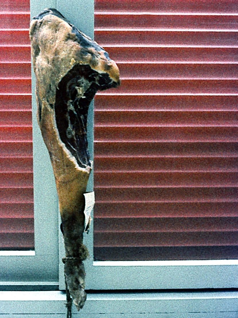 A leg of cured ham hangs in front of a window with a white frame and red shutters.
