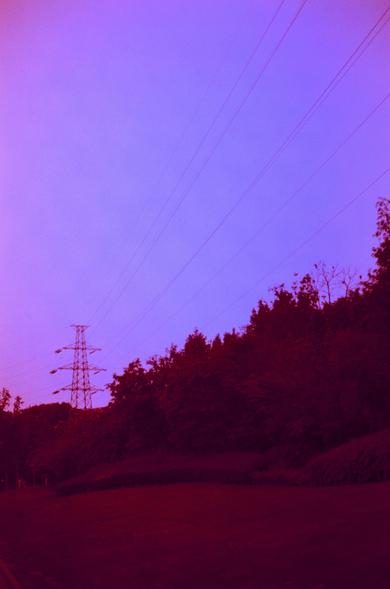 Harman Red 125 (FF)

##English
A landscape scene with a purple-tinted sky and a large area of foliage. A tall electricity pylon with multiple power lines stretches across the upper portion of the image, creating a silhouette effect against the vibrant sky.
##中文
一幅紫色调的天空与大片的叶子的风景图。上方有一座高大的输电塔，多条电线横跨图像上方，与明亮的天空形成剪影效果。
