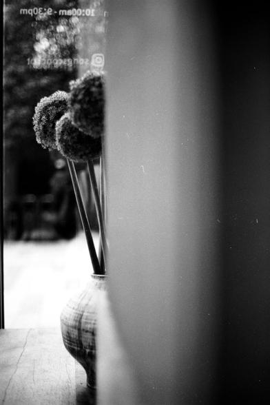 Fujifilm NEOPAN F (FF)

English
A black-and-white close-up of a vase with tall, dried flower stems placed near a window. The vase is partially visible, with a checkered pattern, and the stems are frosted, likely from cold weather. The window reflects faint outdoor scenery.
中文
一张黑白特写照片，展示了一个花瓶，里面插着几根高大的干花茎，放在窗户旁。花瓶部分可见，带有格子图案，花茎上覆盖着霜，可能是由于寒冷天气。窗户上反射出模糊的室外景色。