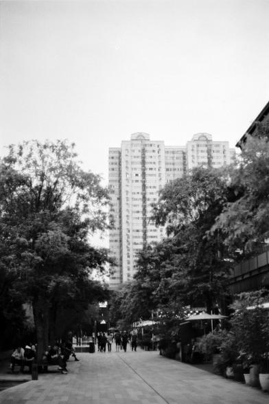 Fujifilm NEOPAN F (FF)

English
A black-and-white photograph of a pedestrian pathway lined with trees and people. The path is paved with light-colored tiles, and tall trees flank both sides. In the background, a high-rise building with numerous windows and balconies rises above the treetops. People are seen walking and sitting on benches along the path.
中文
一张黑白照片，展示了一条人行道，两侧种满树木，行人来往其中。小径铺有浅色瓷砖，高大的树木分列两侧。背景中，一栋高层建筑耸立于树梢之上，建筑上有许多窗户和阳台。人们在小径上行走或坐在长椅上。