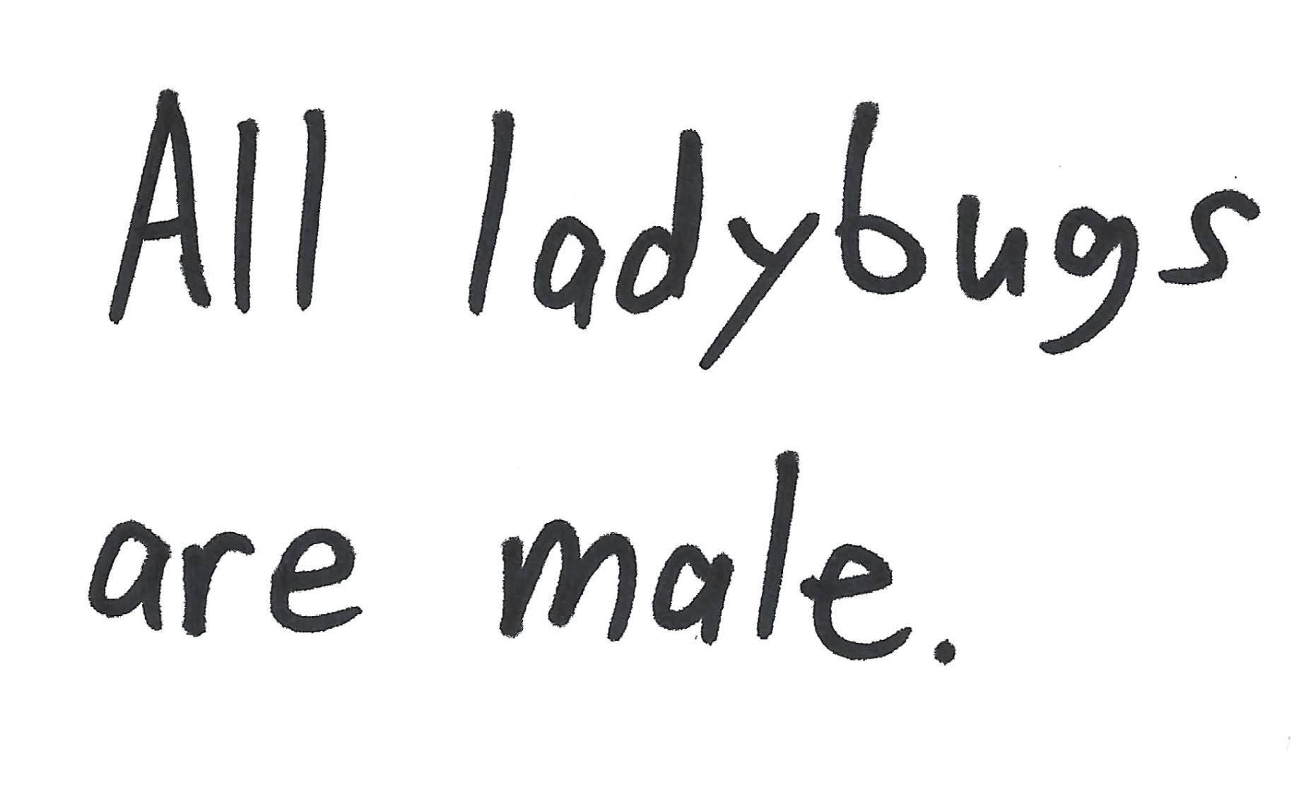 All ladybugs are male.