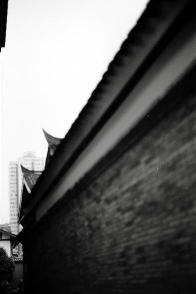 Fujifilm NEOPAN F (FF)

English
A black-and-white photograph showing the edge of a traditional Chinese tiled roof. The roof tiles are layered and curved, with a modern high-rise building visible in the background. The contrast between the traditional architecture and the contemporary skyscraper is evident.
中文
一张黑白照片，展示了中国传统瓦屋顶的边缘。屋顶的瓦片呈层叠且弯曲的形状，背景中可见一栋现代高层建筑。传统建筑与现代摩天大楼的对比非常明显。