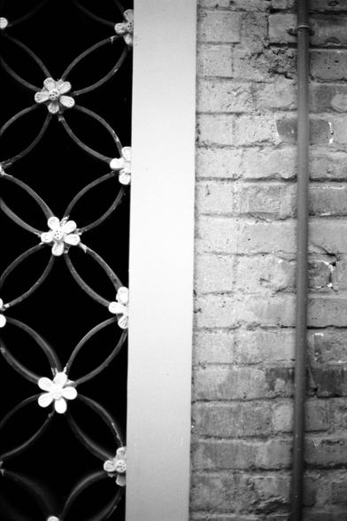Fujifilm NEOPAN F (FF)

English
A black-and-white close-up of a decorative iron gate with floral motifs. The gate features intertwined loops and flower-shaped ornaments, set against a white column on the left and a textured brick wall on the right. A vertical pipe runs along the brick wall.
中文
一张黑白特写照片，展示了一个带有花卉图案的装饰性铁门。铁门由交错的环形图案和花形装饰组成，左侧是一根白色柱子，右侧是一面质感粗糙的砖墙。砖墙上有一根垂直的管道。