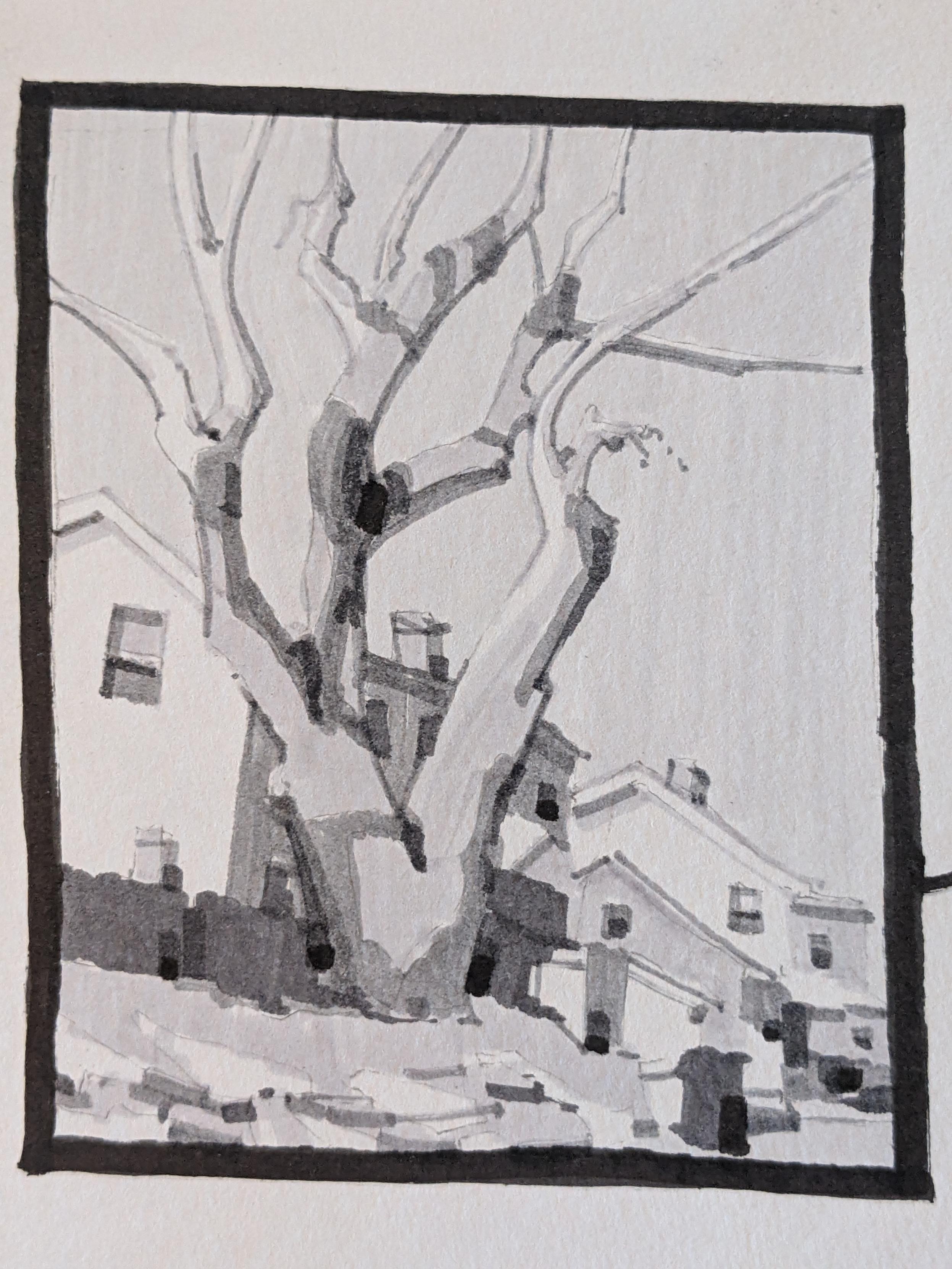 Gray-scale marker drawing of a street lined with houses in Brighton, Massachusetts. A large, imposing and leafless tree stands guard in front of a row of houses along a street leading to the horizon on the right. Light snow covers the lawns as a bright winter sun brightens up the side of each house, rising from the left and behind the viewer. While making the border for the sketch, the person doing the sketch dropped his marker and left a mark on the right, out of frame.