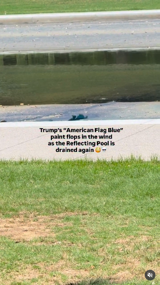 Surrounded by kinda sparse grass, the Reflecting Pool in this pic still holds a small amount of water around the drain at the bottom. Closer to the foreground, you see one of the last patches of "American Flag Blue" paint still clinging on for dear life. It does not call to mind the "Star Spangled Banner," although it'd be hilarious to sing it there in protest.
