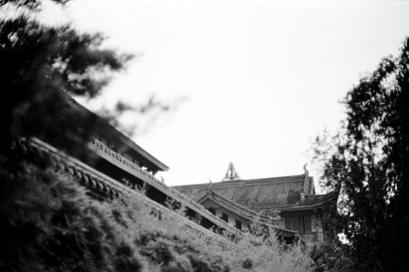 Fujifilm NEOPAN F (FF)

English
A black-and-white photograph of a traditional East Asian building with a tiled roof and ornate eaves. The building is partially framed by trees and foliage in the foreground, with a bright sky in the background, creating a serene and timeless atmosphere.
中文
一张黑白照片，展示了一栋传统东亚建筑，屋顶铺有瓦片，屋檐装饰华丽。建筑被前景的树木和植被部分框住，背景是明亮的天空，营造出宁静而永恒的氛围。