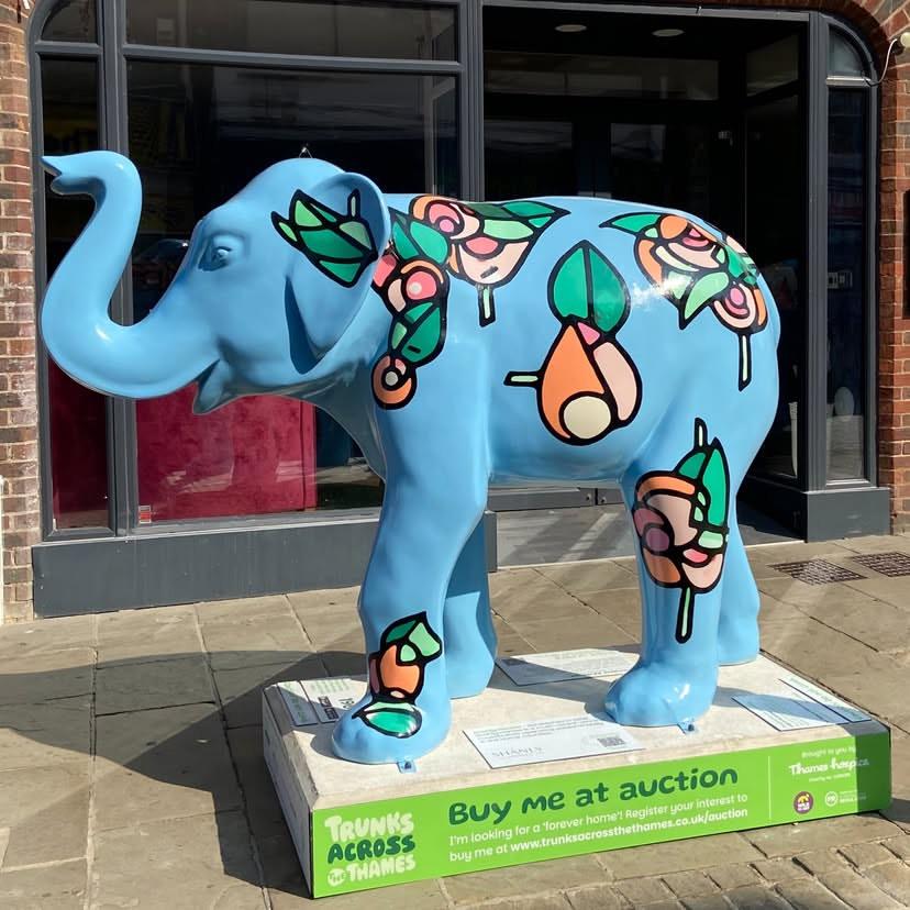 In Peascod Street in Windsor, a fibreglass sculpture of an elephant.

It's light blue, with abstract flowers - a bit like something from a Clarice Cliff tea service - in green and orange.