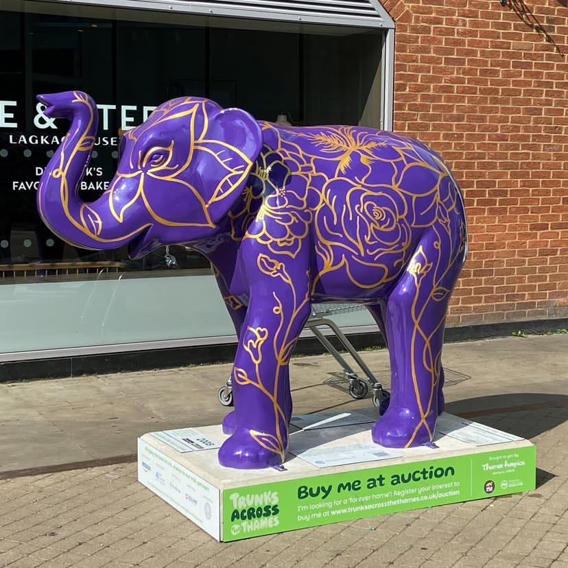 In Windsor town centre, a fibreglass sculpture of an elephant.

It's purple - very purple - with roses outlined across it in gold.