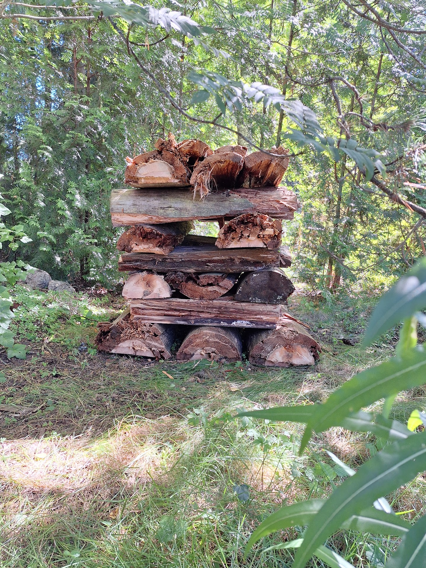 Vehreässä, varjoisassa paikassa pihan nurkassa kasa isoja, noin metrin mittaan pätkittyjä tukkipuita säntillisessä pinossa. Keskellä pinoa aukko, josta näkee läpi.