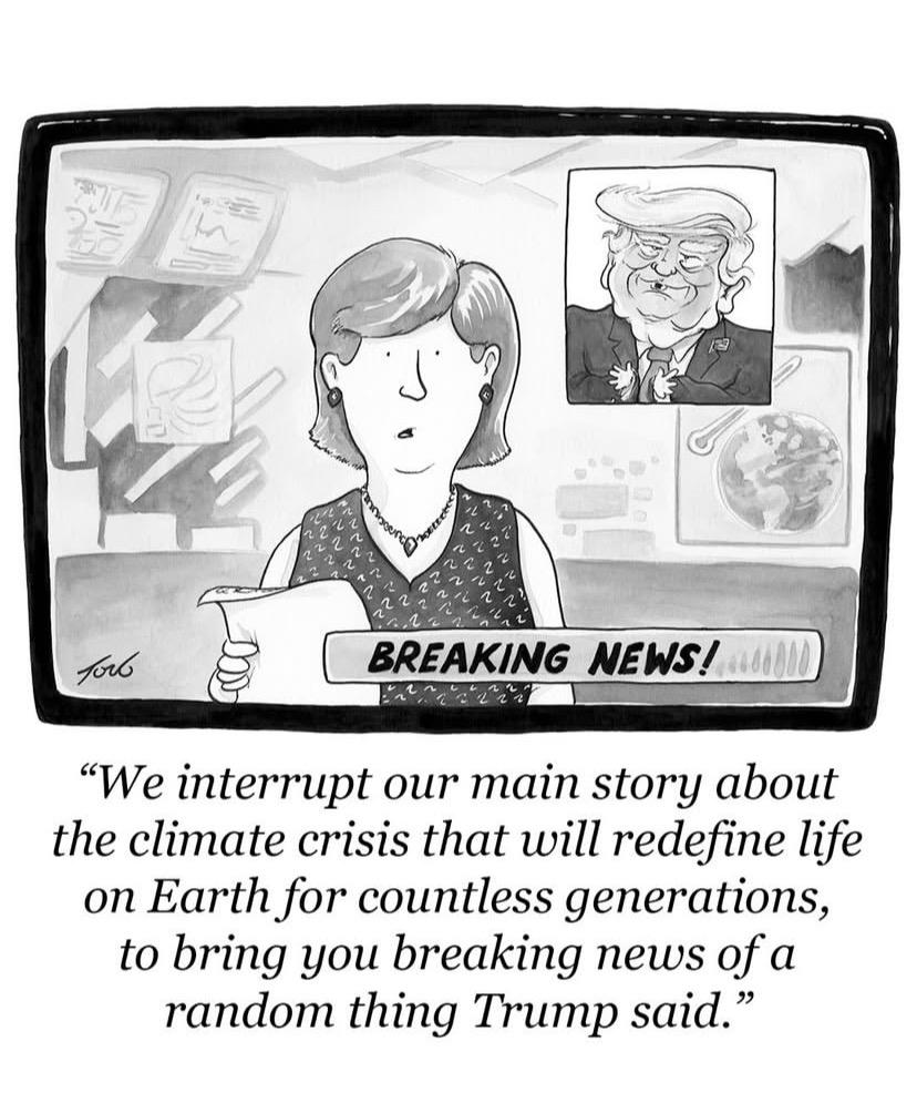 Posted media